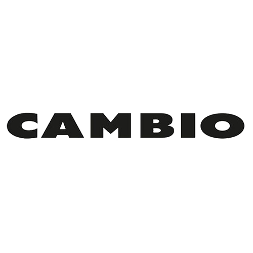 cambio-jeans-1